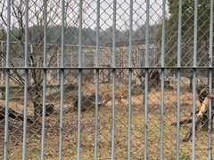 -苏州上方山国家森林公园