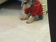 -西安市未央区汉城畜牧兽医站