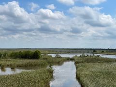 -盐城丹顶鹤湿地生态旅游区