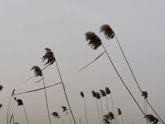 -绿堤公园