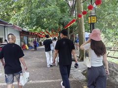 -紫云谷景区