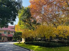 -申粤轩·手工点心·金牌烧味·经典粤菜(丁香花园店)