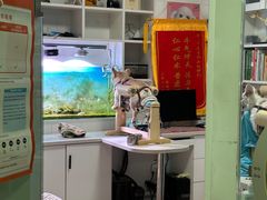 -西安京西宠物医院·瘫痪·疑难杂症