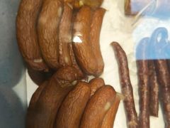 -京八珍(和平东桥店)