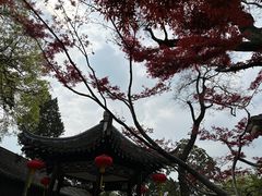 -个园