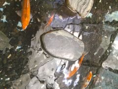 -如家酒店(上海陆家嘴东方明珠浦东大道地铁站店)