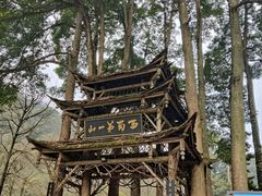 -青城山