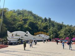 -西双版纳原始森林公园