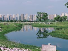 -洋湖国家湿地公园