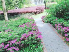 -徐家汇源景区-衡山公园