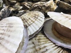 -海鲜冷冻副食批发市场(和生国际店)