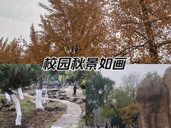 -沈阳中山公园