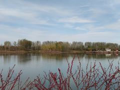 -东郊湿地公园