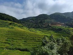 -南靖田螺坑土楼群景区