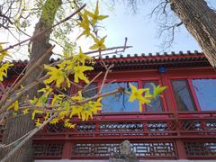 -大觉寺-停车场