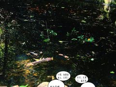 -九曜山