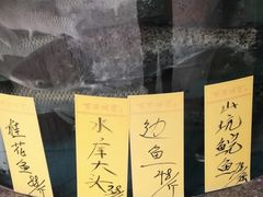 -肥舅父農莊