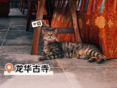 -龙华寺