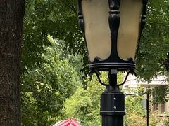 -西安国际创新人才交流中心•药浴温泉