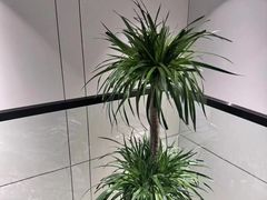-铂尔登国际酒店(南山深圳湾口岸店)