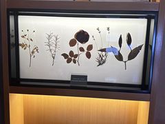 -金色春天.美颜康体纯正SPA(黄泥磅店)