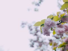 -南通洲际绿博园