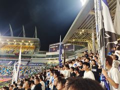 -泰达足球场