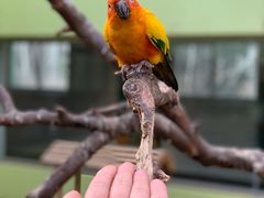 -北京野生动物园