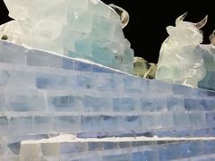 -长春公园(普阳街道)