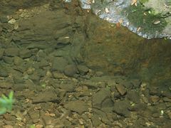 -宁波五龙潭景区