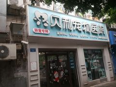 -贝利宠物医院·骨科·眼科·肿瘤转诊中心(南坪诊疗中心)