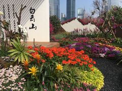 -海心沙亚运公园