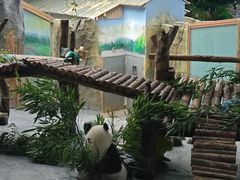 -青藏高原野生动物园
