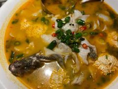 鲜椒豆花鲈鱼-川味堂·四川豆花(八卦岭店)
