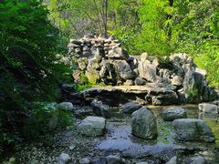 -云岗森林公园