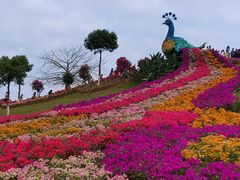 -东莞植物园