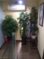 -SH名剪坊.造型设计