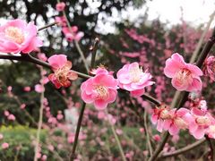 -重庆彩云湖湿地公园