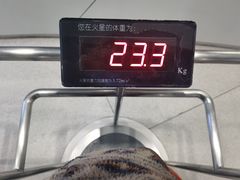 -上海儿童博物馆