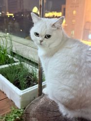 -兮奈ネイル美甲美睫·皮肤管理