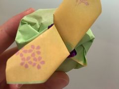 -元祖食品GANSO(常州新北区店)