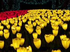 -长春公园(普阳街道)