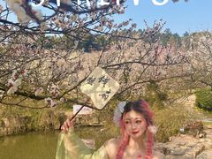 -香雪海