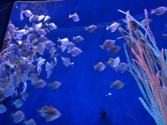 -沈阳海洋探索中心