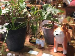 -柴务处·柴犬主题狗咖