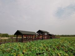 -天津东丽湖风景区
