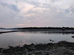 -上海市保健医疗中心