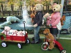 -济州岛泰迪熊博物馆