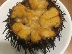 -海胆小馆(东北水饺·春柳店)