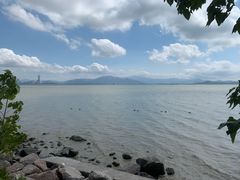 -深圳湾公园(南山区)